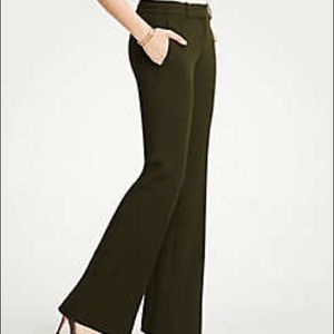 Ann Taylor Curvy Madison Trouser in Moss Green